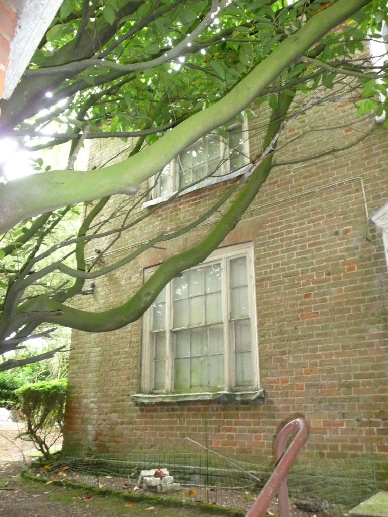 St Albans Road The Elms Redbourn VIllage Online