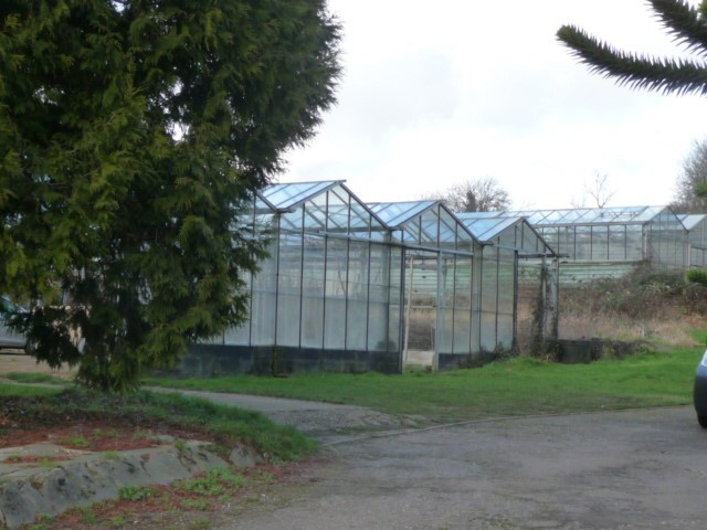 Market Gardening Garden Association Redbourn Village Online